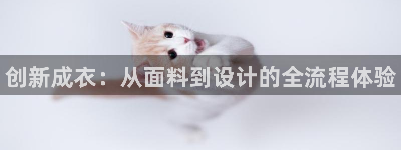 天辰娱乐输了