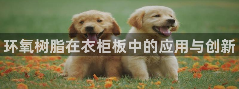 南京天辰娱乐