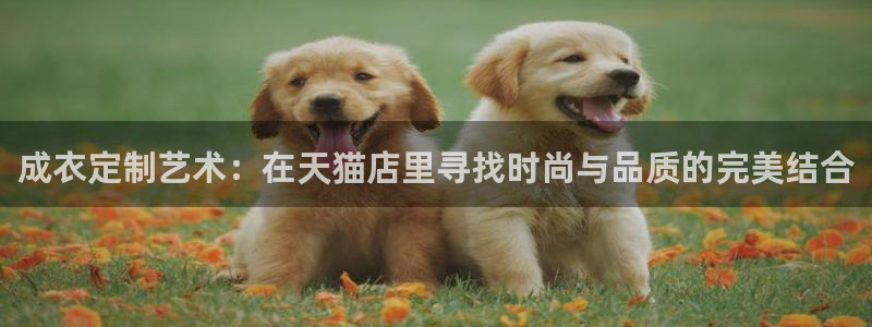 天辰娱乐股票