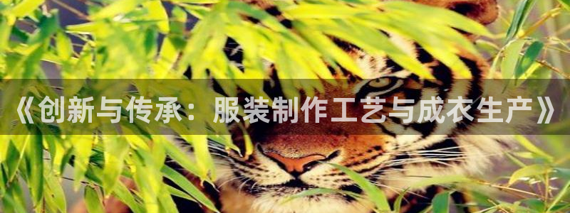 天辰娱乐557696