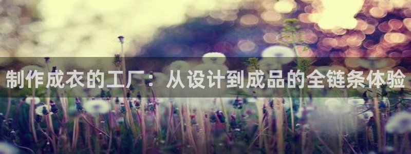 天辰娱乐44516