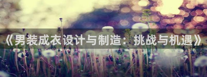 广东天辰娱乐