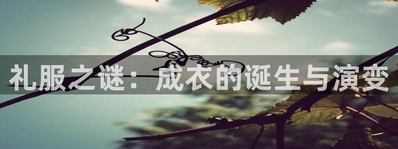天辰娱乐885544