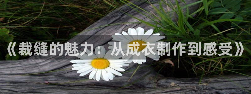 天辰娱乐咋样