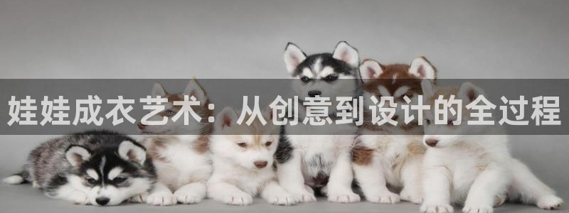 集宁天辰娱乐
