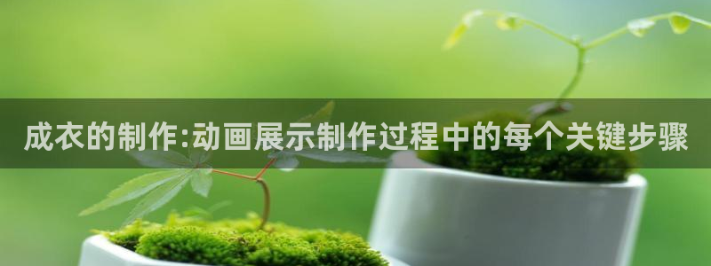 天辰娱乐557696