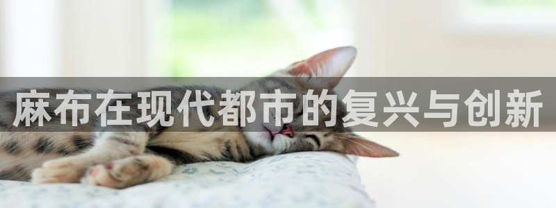 天辰娱乐输了