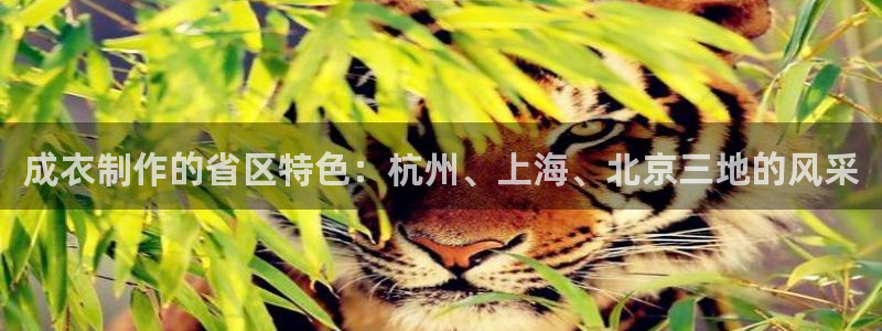 天辰娱乐上级