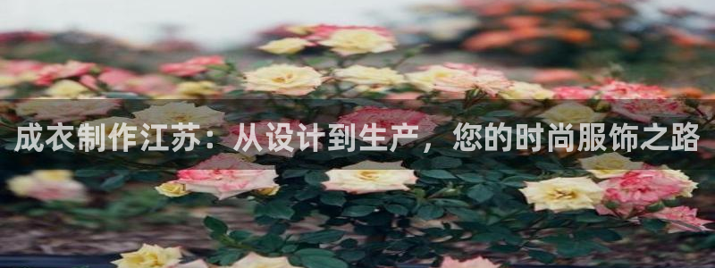 天辰娱乐入口