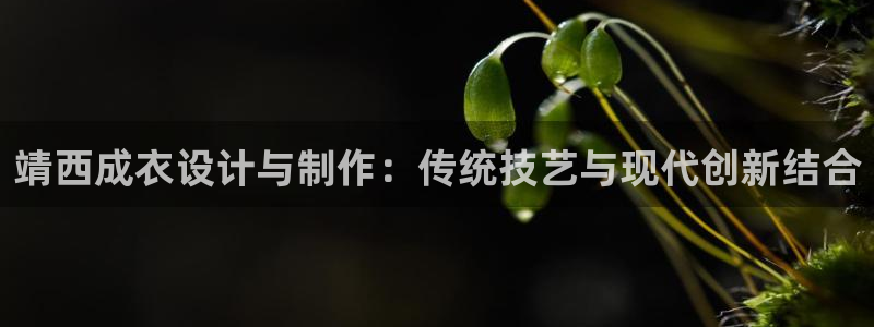 天辰水娱乐