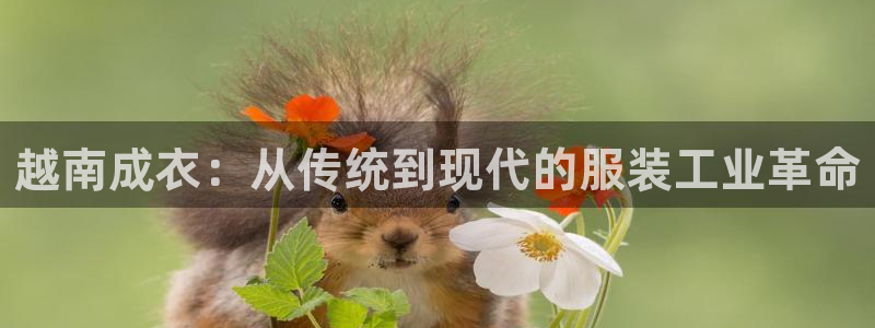 天辰娱乐557696