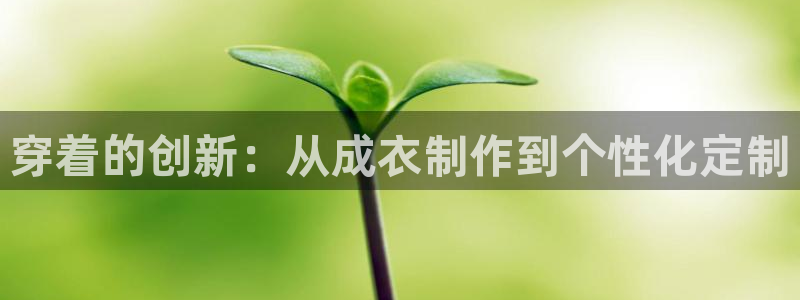 天辰娱乐 231639