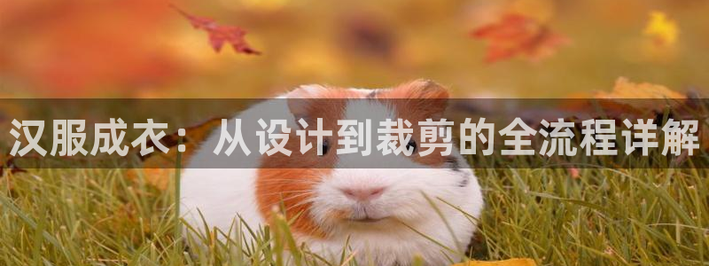 天辰娱乐软件