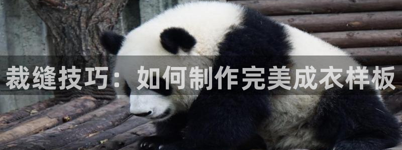 天辰娱乐官网平台下载