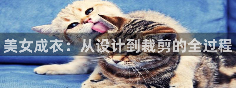 天辰娱乐怎么样