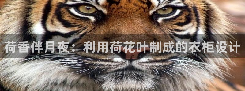 天辰宝娱乐