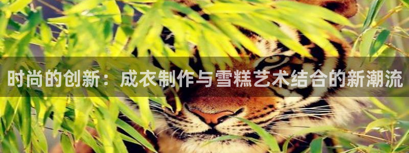 深圳天辰娱乐