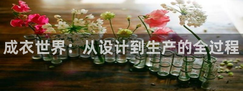 天辰娱乐1966