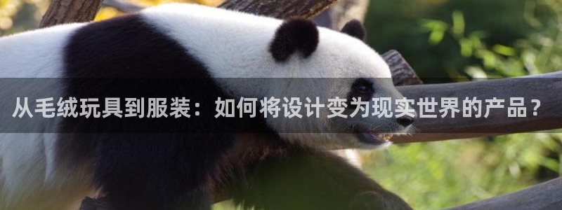 天辰娱乐股东