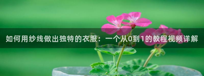 天辰团队贝高娱乐