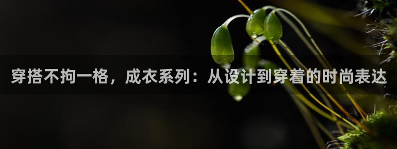 天辰娱乐44616