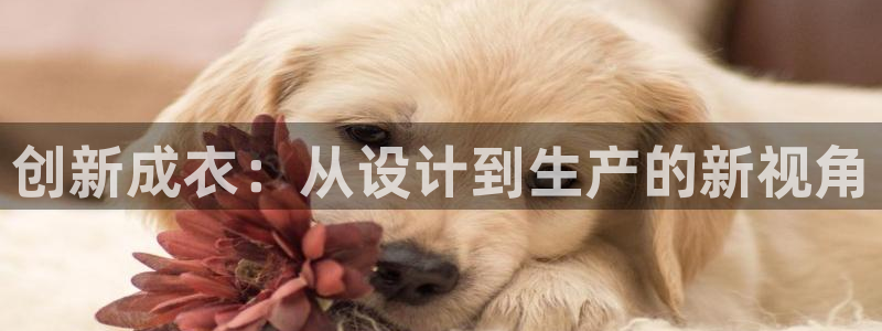 天辰登陆娱乐