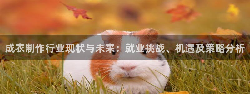 天辰娱乐在线