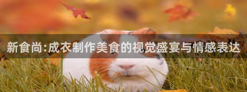 天辰娱乐登录测试