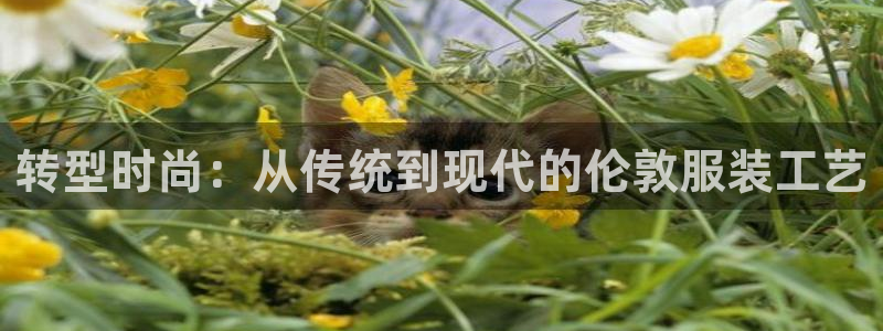 天辰娱乐平台安全吗