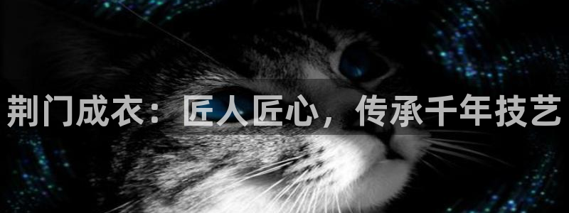天辰娱乐的网址首页