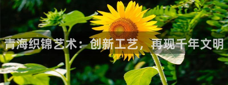 天辰娱乐60447