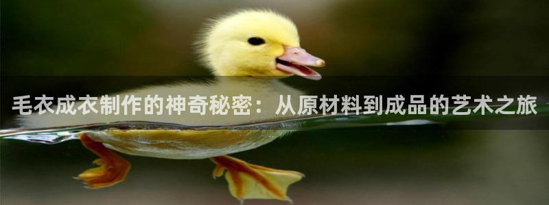 天辰娱乐怎么样