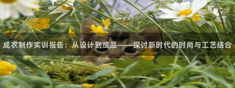 天辰娱乐维护