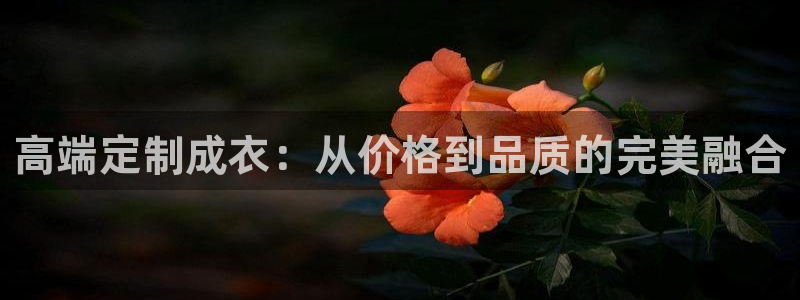 天辰 娱乐