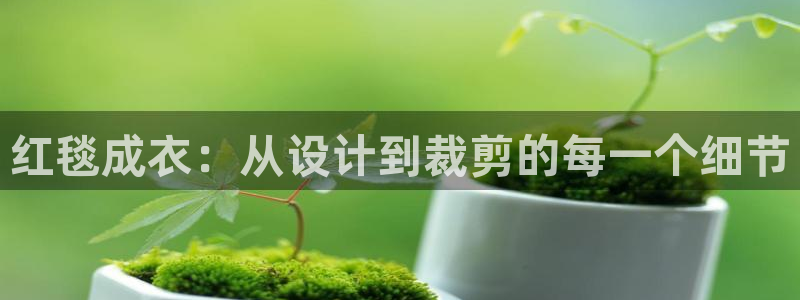 天辰娱乐44616