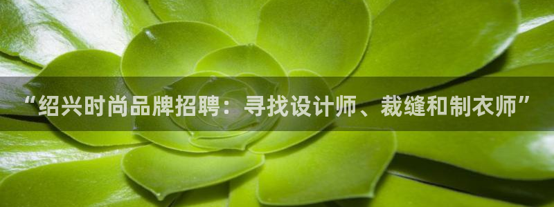 天辰娱乐39596