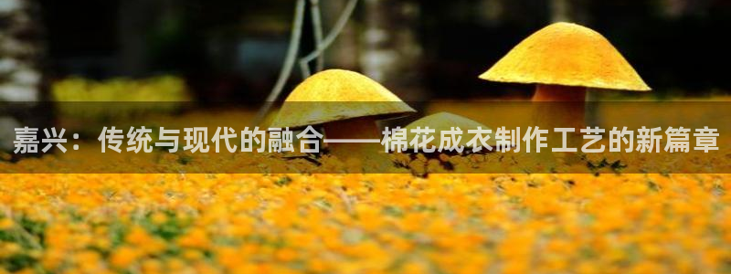 天辰娱乐文化