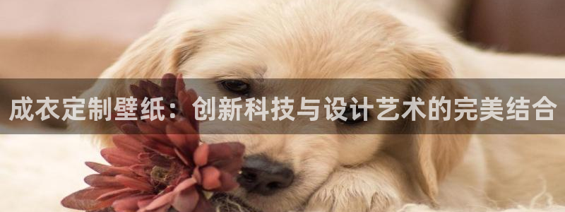 天辰娱乐平台