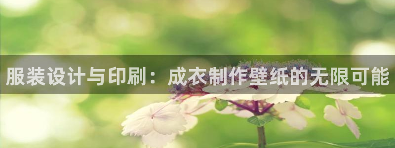 天辰娱乐app