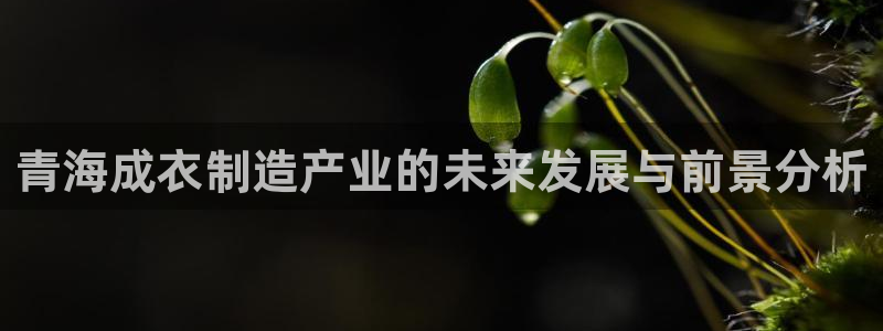 天辰娱乐服务
