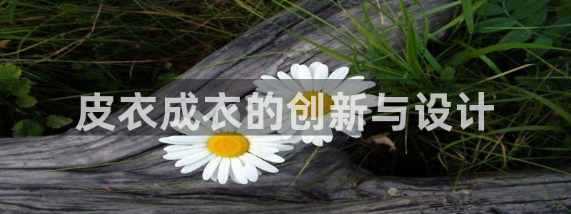 天辰娱乐线路