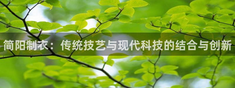 天辰娱乐新