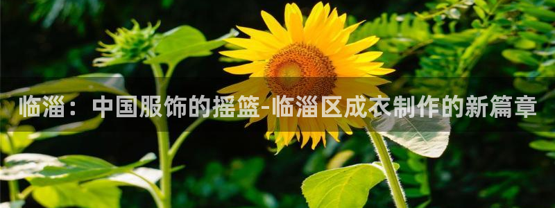 天辰娱乐1980
