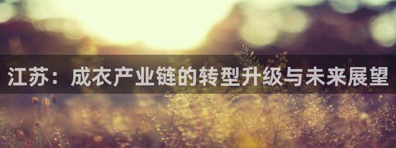 天辰娱乐台湾