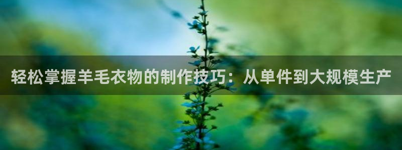 天辰娱乐游客