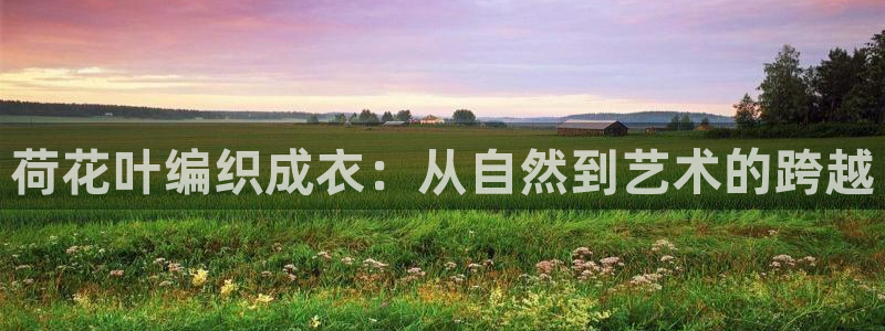 天辰娱乐557448