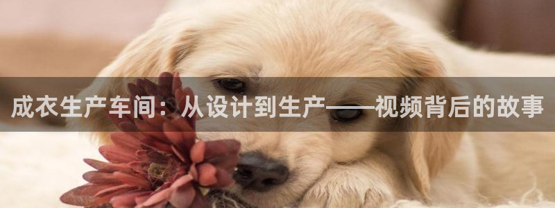 天辰娱乐内部