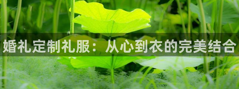 天辰娱乐黑人