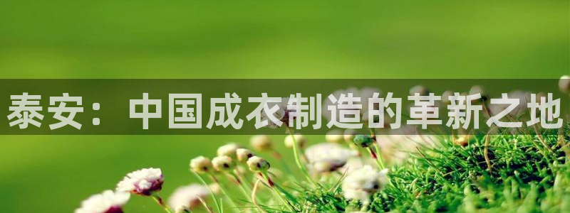 天辰娱乐股票