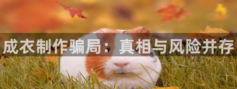 天辰娱乐平台娱乐注册